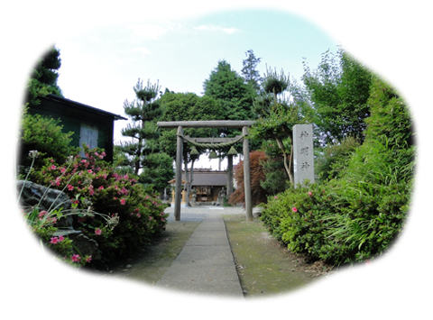 �����̗l�q