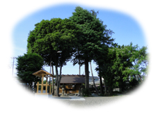 �����̗l�q