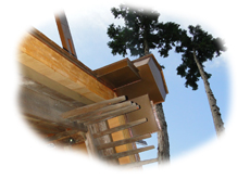 �����̗l�q